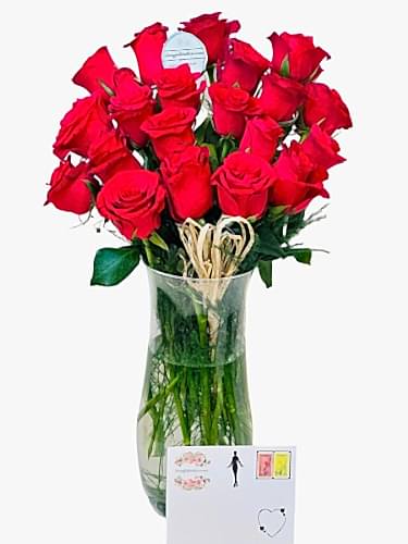 21 Rose