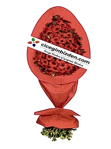 Tek Katlı Kırmızı Gerbera Sepet
