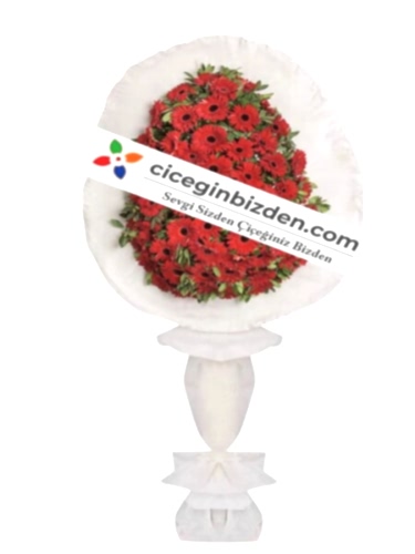 Tek Kat Kırmızı Gerbera Sepetim