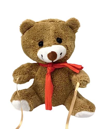 Peluş Ayı