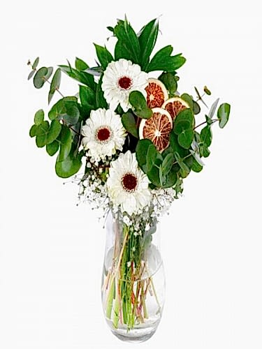 Vazoda 3`lü Beyaz Gerbera