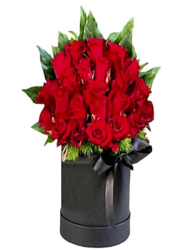 25 Rose in Box